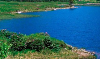 心里憋一肚子火的说说（心情不爽想发泄的句子）