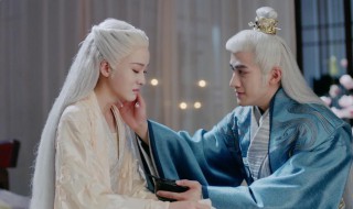 电视剧白发剧情介绍（电视剧白发免费观看全集完整版）