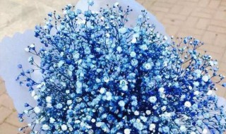 朋友生日送什么花（朋友生日送什么花合适女生）