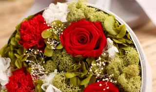 送男生什么花比较好 第一次送女孩花送什么花合适