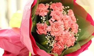 老人过生日送什么花（老人过生日送什么花合适）