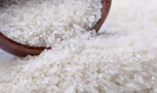大米有虫子了怎样处理（生虫大米千万不能吃）