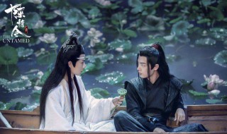 为什么蓝忘机最后没和魏无羡走 蓝忘机为什么不和魏无羡一起走