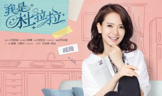 戚薇演的电视剧有哪些（戚薇李承铉）