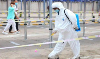 白蚊防治消杀方法（白蚊防治消杀方法视频）