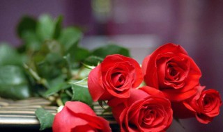 包玫瑰花束的方法（包玫瑰花束的简单方法）