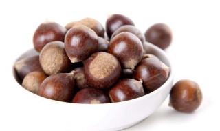 板栗传播种子的方法 10种植物的传播方式