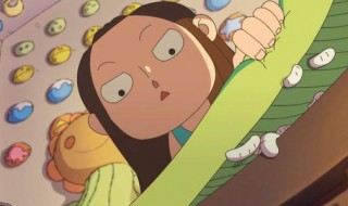 白虫的养殖方法（白虫的养殖方法视频）