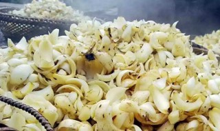 百合储存方法（百合的最佳储存方法）