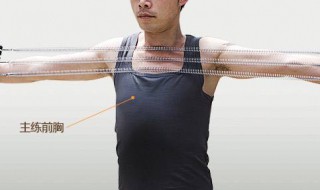 拉力器的锻炼方法（健身器材一览表）