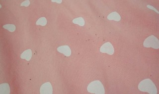 床上快速找到跳蚤的方法（家里有跳蚤怎么办能除根）