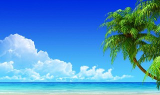 除臭虫最简单的方法 床上臭虫怎么消灭最彻底