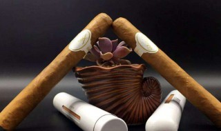 抽雪茄正确的吞吐方法 抽雪茄有害健康吗