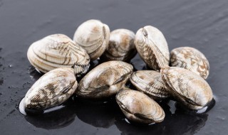 花蛤吐沙最快的方法