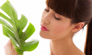 植物标本制作方法 生物植物标本制作方法