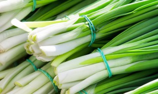 香葱的种植方法和时间（种植小葱的正确方法）