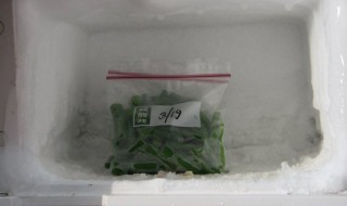 豆角冷冻储存的方法 豆角冷冻储存的方法视频