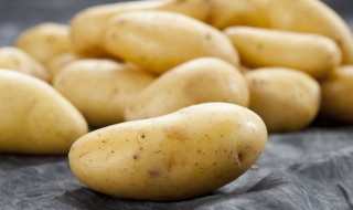 土豆出芽还能吃不（土豆出芽还能吃吗只出了一点点）
