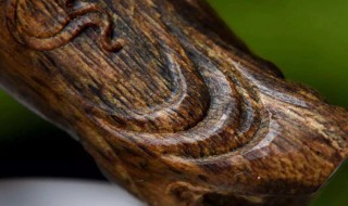 沉香木鉴别方法 沉香木鉴别方法用水