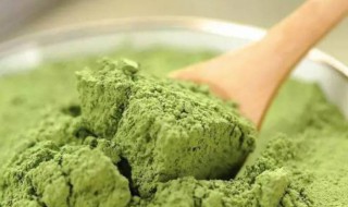 桑叶粉的功效与作用及食用方法（桑叶茶又叫短命茶）