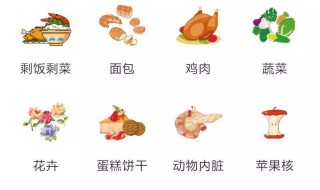 湿垃圾有哪些（垃圾分类有哪四大类）