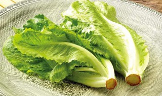 生菜吃多了有什么危害 生菜吃多了有什么危害吗