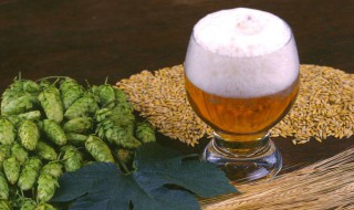 喝啤酒好吗（经常喝啤酒好吗）