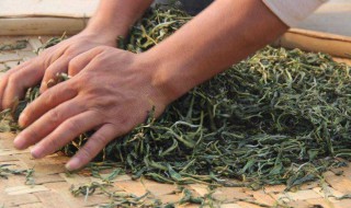 生普洱怎么保存好（生普洱咋样储藏）