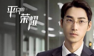 平凡的荣耀是谁演的 平凡的荣耀是谁演的电视剧
