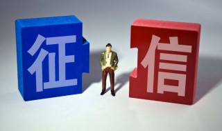 如何查询自已的征信（如何查询自己的征信记录）