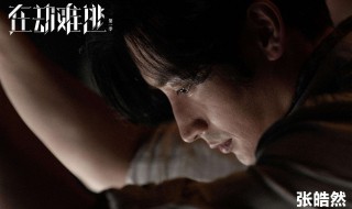 在劫难逃网剧原著小说是什么 在劫难逃网剧讲的什么