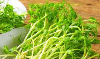 无须豌豆苗种植方法（无须豌豆苗的种植方法和时间）