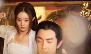 楚乔传演员表人物介绍（楚乔传演员表人物介绍 第二部）