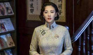 旗袍美探张雨绮扮演的角色 旗袍美探张雨绮扮演的角色叫什么