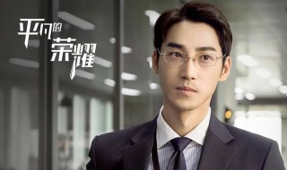 电视剧平凡的荣耀剧情分集介绍（平凡的荣耀 电视剧剧情）