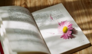 团结的句子励志 单位团结的句子励志
