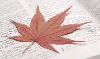 心若向阳的励志的句子（心若向阳的励志的句子8字）