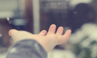 每天忙忙碌碌人生感悟（为了生活每天忙忙碌碌人生感悟）