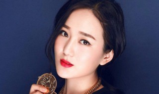 龙梅子最好听的歌曲（龙梅子最好听的歌曲大全100首）