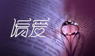偏爱歌词（偏爱歌词表达什么意思）