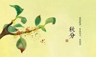 秋分什么时候（秋分什么时候交节）