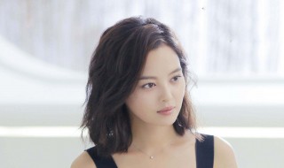 辛芷蕾电视剧有哪些（辛芷蕾主演过的电视剧）