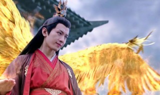 司凤的真实身份是什么（琉璃中禹司凤的真实身份是什么）