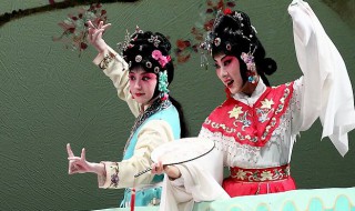 墙头是什么意思（饭圈墙头是什么意思）