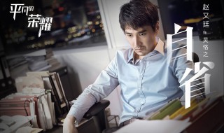 平凡的荣耀的主要演员 平凡的荣耀演职人员表