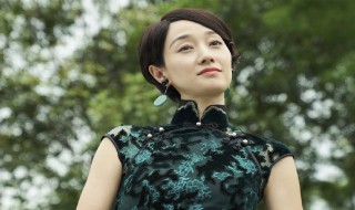 旗袍美探是谁演的（旗袍美探的男主角叫什么名字）