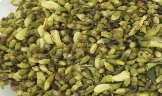 槐花茶的制作方法 槐花茶的制作方法扁豆角黄瓜奄咸葆