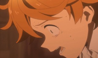 圈地自萌是啥意思 圈地自萌是褒义还是贬义