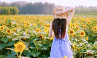 清新阳光短句（清新阳光的文案）