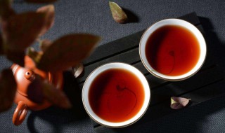 如何喝普洱茶 如何喝普洱茶饼
